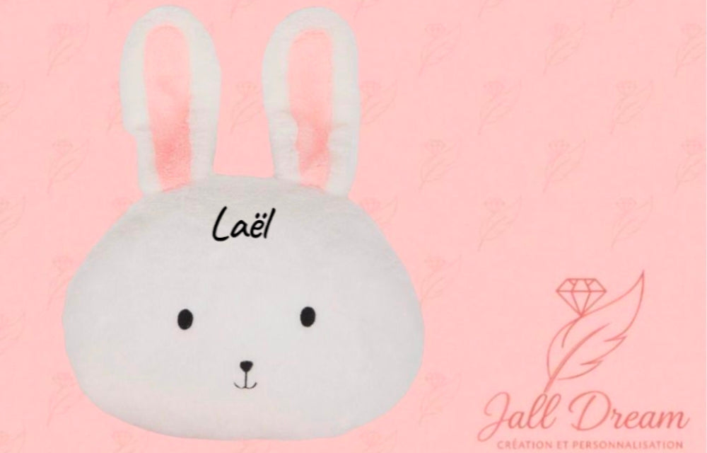Coussin Peluche Personnalisé