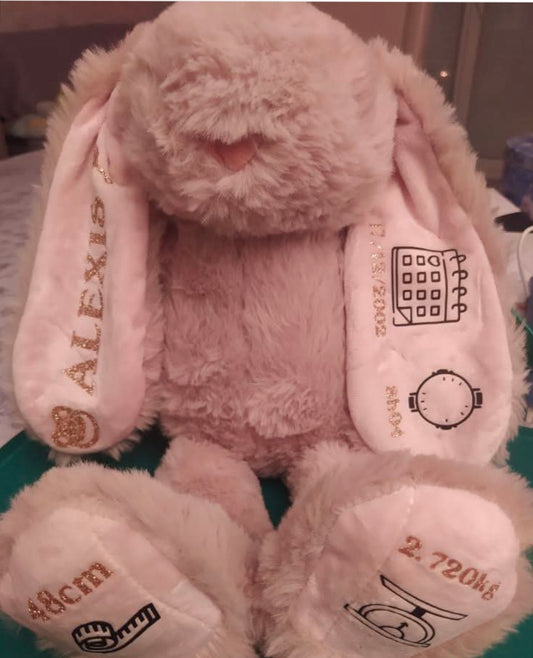 Lapin Premier Jour Personnalisé