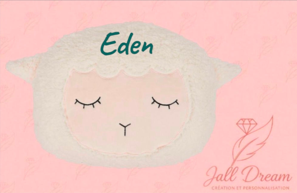 Coussin Peluche Personnalisé