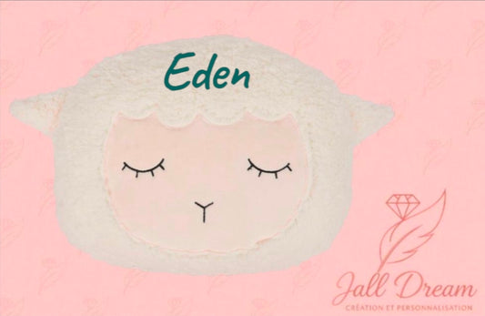 Coussin Peluche Personnalisé